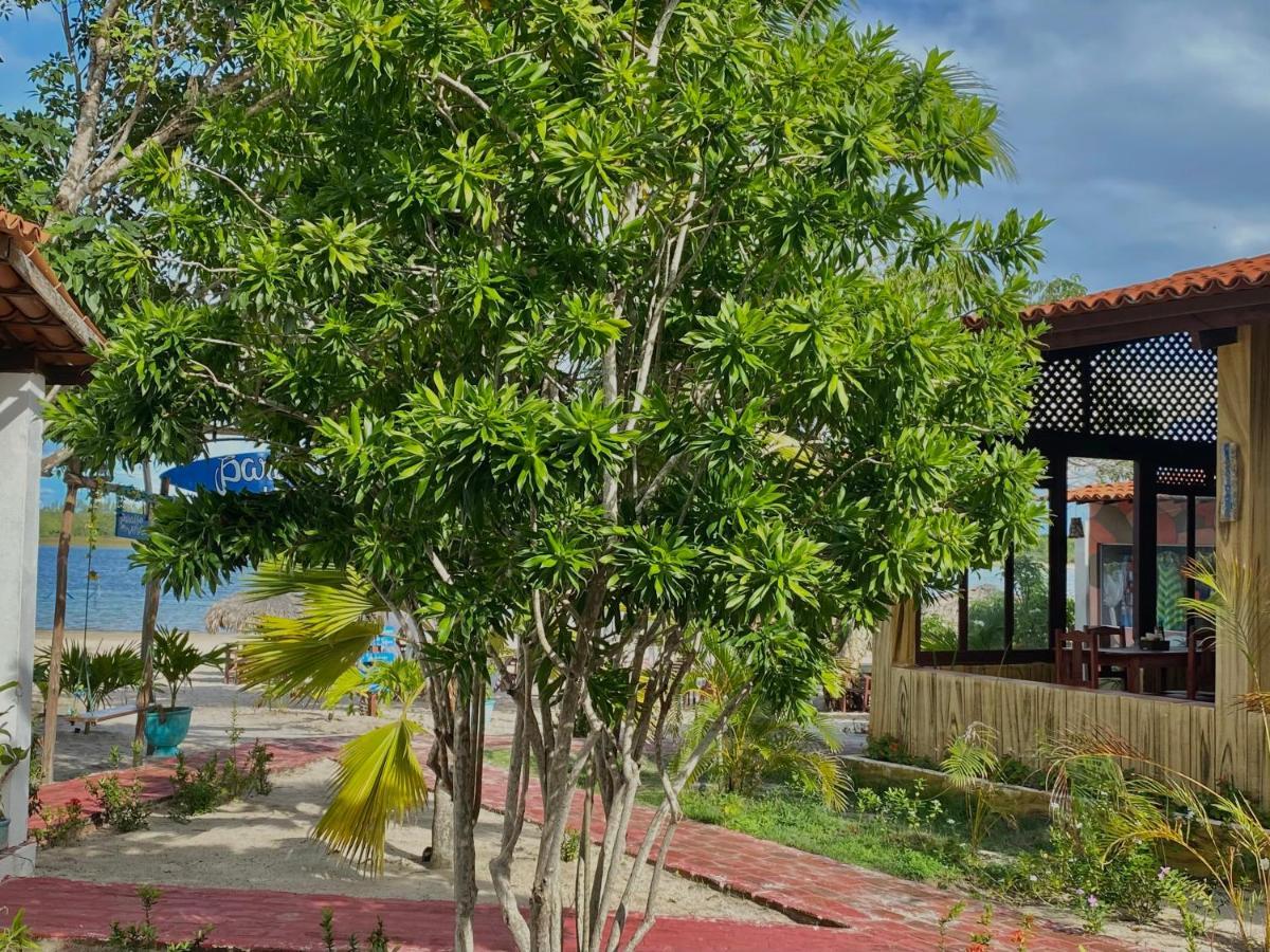 Pousada Paraiso Verao 日若卡-迪热里科阿科阿拉 外观 照片